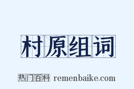 村原组词是什么意思的图片